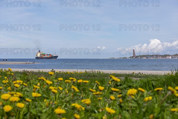 Container ship, flowers, Falckensteiner Strand, naval memorial, Laboe, Kiel Fjord, Kiel, Schleswig-Holstein, Germany, Europe