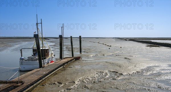 North Sea, Wadden Sea at low tide, Sankt-Peter Ording, Schleswig-Holstein, Germany, Europe