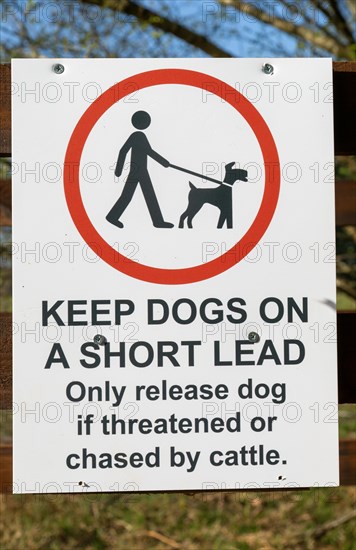 Keep Dogs on short lead, only release dog if threatened or chased by cattle, Suffolk Sandlings, Suffolk, England, UK