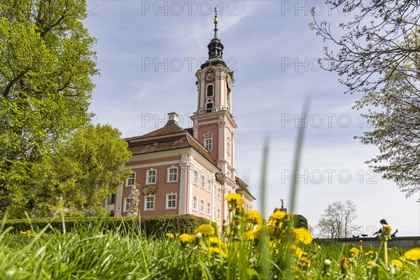 Birnau pilgrimage church, baroque church on the north shore of Lake Constance, Uhldingen-Muehlhofen, Baden-Wuerttemberg, Germany, Europe