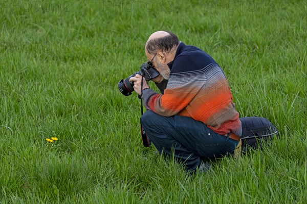 Elderly man photographing flowers, Elbtalaue near Bleckede, Lower Saxony, Germany, Europe