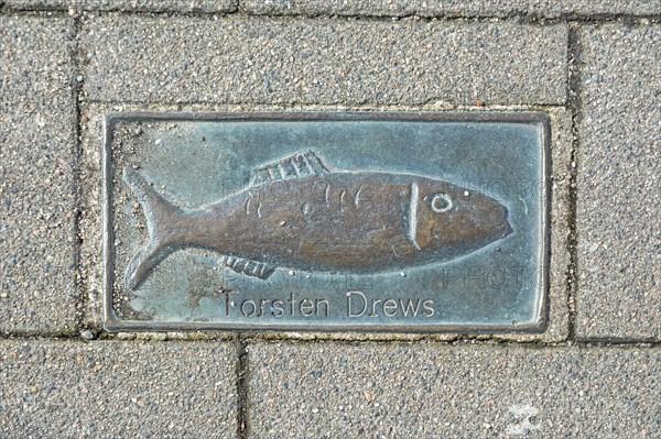 Bronze Clupeidae, pavement, Torsten Drews, harbour, Kappeln, Schlei, Schleswig-Holstein, Germany, Europe
