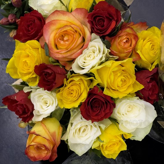 Colourful bouquet of roses in sales display with roses in colour yellow white red purple orange pink, international