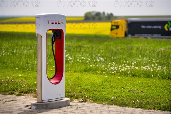Truck, lorry, lorry drives past Tesla Supercharger in front of rapeseed field, logo, charging station for electric cars, electric charging station, charging station, e-mobility, Ulm, Baden-Wuerttemberg, Germany, Europe