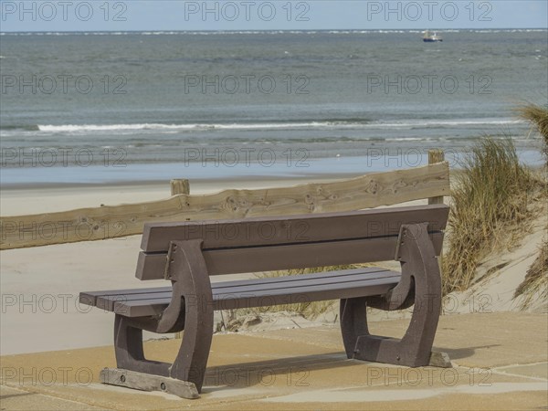 Wooden bench with a view of the sea, with dune grass and a wooden fence in the foreground, beach and dunes with grass and a bench by the sea, nes, ameland, the netherlands