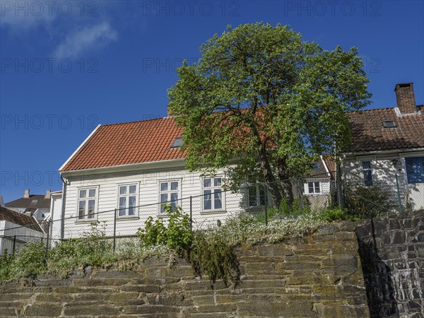 White house with red tiled roof behind a stone wall under blue sky, white wooden houses with red roof in front of blue sky, trees and white fences along the road, stavanger, norway