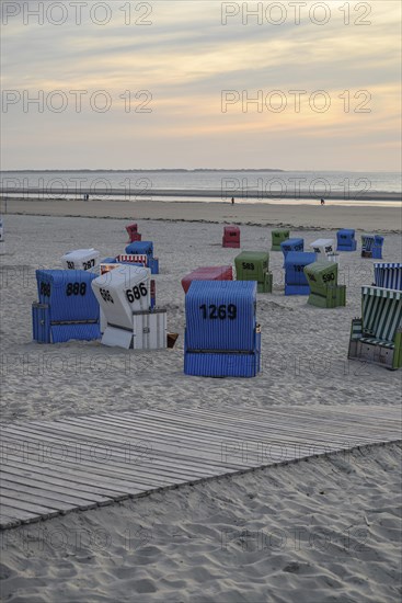 Beach chairs and a wooden path on a sandy beach at sunset, many colourful beach chairs on a warm summer evening by the sea, langeoog, germany