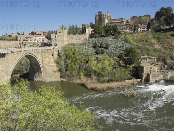 Historic stone bridge with green vegetation over a river and buildings in the background under a blue sky, historic stone bridge with an old tower and an old town in the background over a wild river, Toledo, Spain, Europe