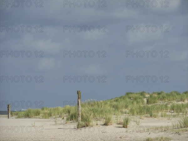 Barren dune landscape with tufts of grass and wooden posts under a cloudy sky, lonely beach with dune grass in the neighbouring dune and marker posts, clouds playing in the sky, Spiekeroog, Germany, Europe