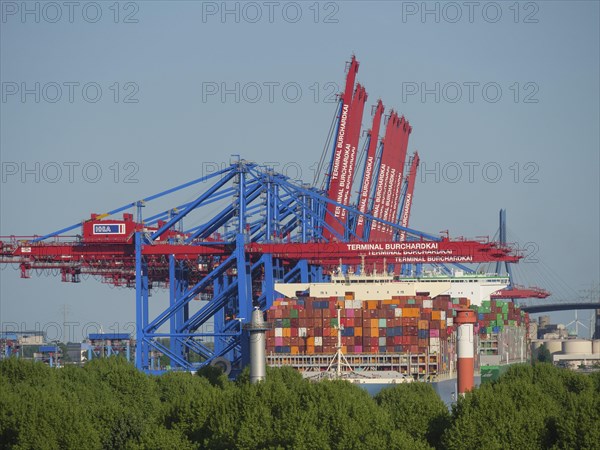 Container port with large coloured containers and cranes as well as trees in the foreground, cranes and ships in a port, Hamburg, Germany, Europe