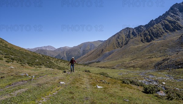 Mountaineers on a hiking trail, green high valley with mountains, Keldike Valley on the way to the Ala Kul Pass, Tien Shan Mountains, Kyrgyzstan, Asia