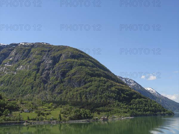 A calm lake surrounded by high green mountains and meadows under a sunny blue sky, calm water in a fjord with snow-capped mountains and green slopes with trees, Eidjord, Norway, Europe