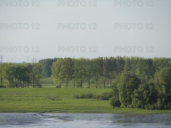 Wide green fields and densely wooded areas on the calmly flowing river banks under a clear sky, green bank on a river with many trees and towers, hamburg, germany
