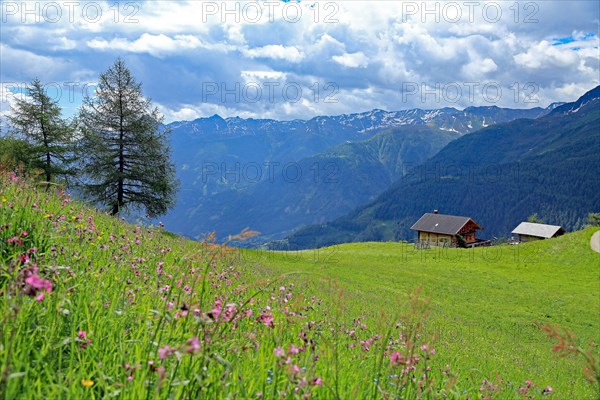 Bodenalm, Seefeld, East Tyrol, Austria, Europe