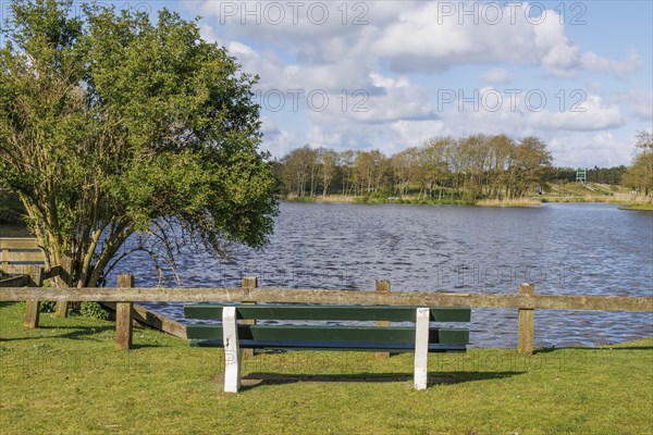 Park bench on the lakeshore with a view of the water and surrounding trees under a cloudy sky, small lake in the countryside with ducks and a jetty, Nes, ameland, netherlands