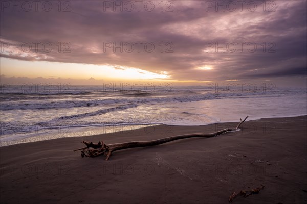 Dramatic cloudy sky at sunset, tree trunk on the beach, sandy beach on the Caribbean coast, Tortuguero National Park, Costa Rica, Central America
