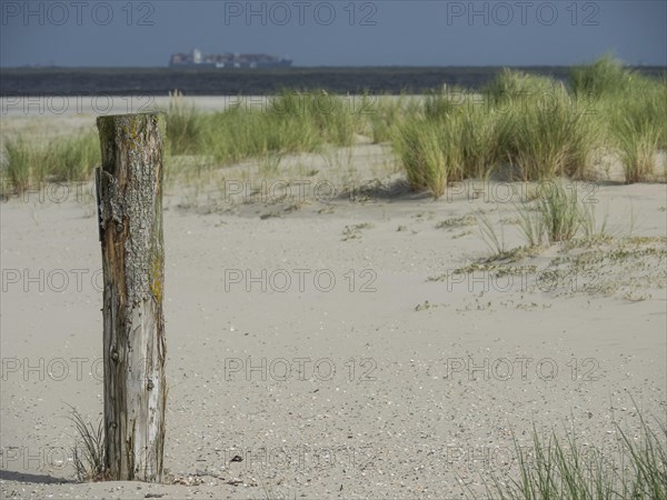 A quiet beach with a wooden post in the foreground, grassy dunes and the sea in the background, wooden post on an icy beach by the sea with dune grass, Spiekeroog, Germany, Europe