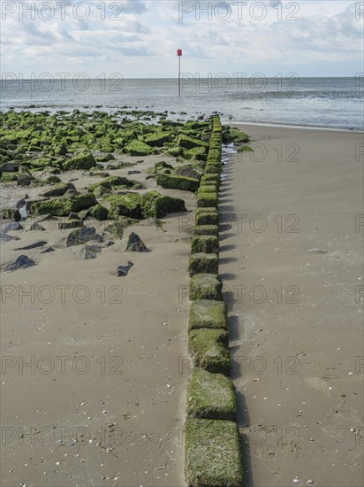 Stony coastline with moss covered stones and calm sea in the background, clouds on the beach with dunes by the sea, hollum, ameland, the netherlands