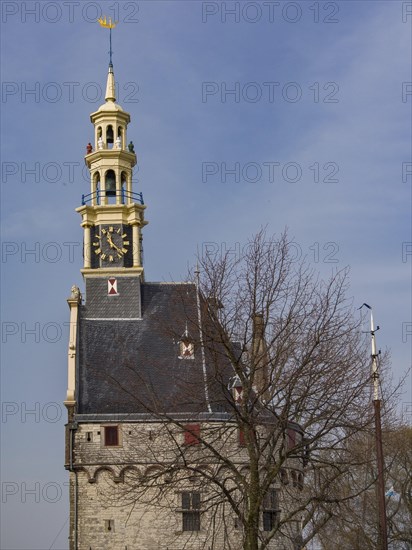 Historic stone clock tower with trees in the foreground against a blue sky, tower with a golden spire and a large clock against a blue sky, hoorn, the netherlands