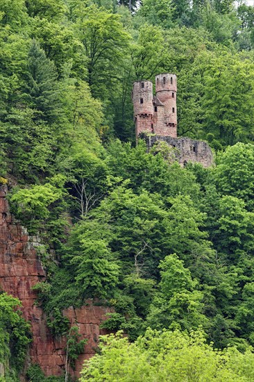 Schadeck Castle, also known as the Swallow's Nest, four-castle town of Neckarsteinach, Baden-Wuerttemberg, Germany, Europe