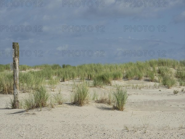 Barren sand dunes with scattered tufts of grass under a partly cloudy sky, lonely beach with dune grass in the neighbouring dunes and marker posts, clouds playing in the sky, Spiekeroog, Germany, Europe
