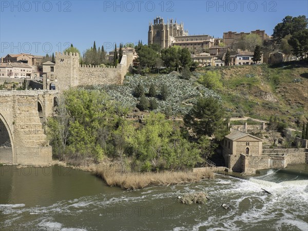 A stone bridge over a river in the foreground, cathedral and buildings on a green hill, under a blue sky, historic stone bridge with an old tower and an old town in the background over a wild river, Toledo, Spain, Europe