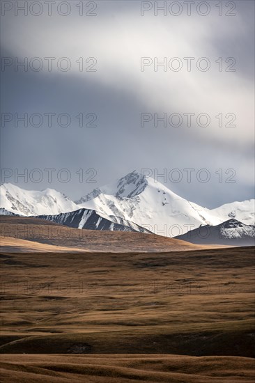 Glaciated and snow-capped mountains, dramatic landscape, high plateau, autumnal mountain landscape with yellow grass, Tian Shan, Sky Mountains, Sary Jaz Valley, Kyrgyzstan, Asia
