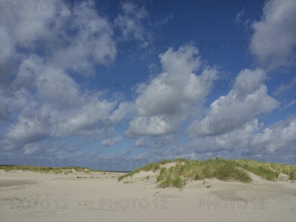 Extensive sand dunes with tufts of grass and a clear blue sky with clouds, lonely beach with dune grass in the neighbouring dunes and marker posts, clouds playing in the sky, Spiekeroog, Germany, Europe