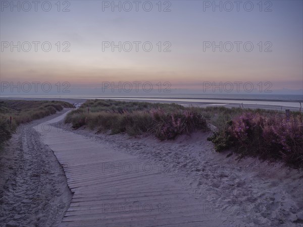 Wooden path through green dunes, to the sea, under a colourful sunset sky, setting sun on a beach with beach chairs and clouds in the sky, spiekeroog, germany