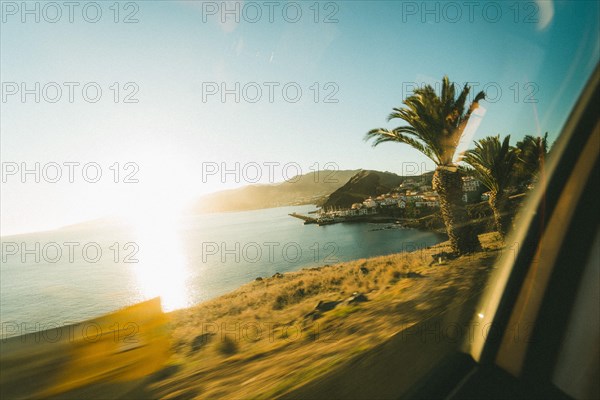 View from a moving car onto a sunlit beach with palm trees. Madeira Portugal