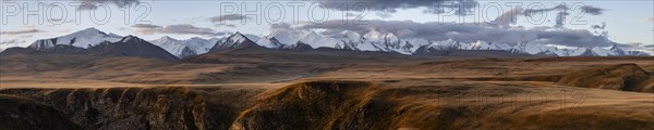 Panorama, Glaciated and snow-capped mountains, autumnal plateau with yellow grass, Tian Shan, Sky Mountains, Sary Jaz Valley, Kyrgyzstan, Asia