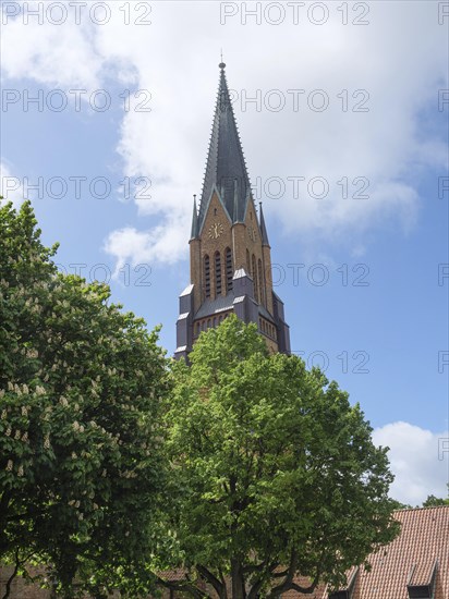 A tall church tower with a green roof rises into the overcast sky between green trees, large church towers with trees and historic houses in the foreground, Schleswig, Germany, Europe
