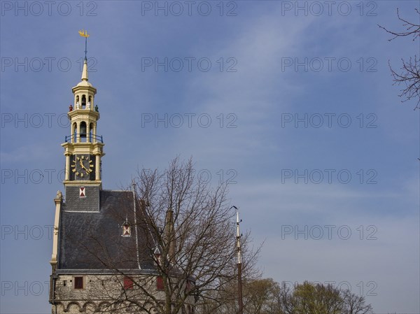 Historic stone clock tower surrounded by trees in front of a blue sky, tower with a golden spire and a large clock in front of a blue sky, hoorn, the netherlands
