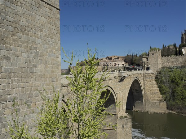 Stone bridge over a river with a historic castle in the background and green plants in the foreground on a sunny day, historic stone bridge with an old tower and an old town in the background over a wild river, Toledo, Spain, Europe