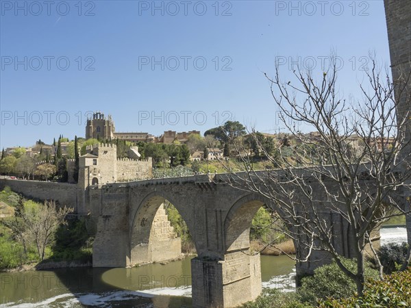 Stone bridge with arches over a river, in the foreground a bare tree, surrounded by cityscape and sunny weather, historic stone bridge with an old tower and an old town in the background over a wild river, Toledo, Spain, Europe