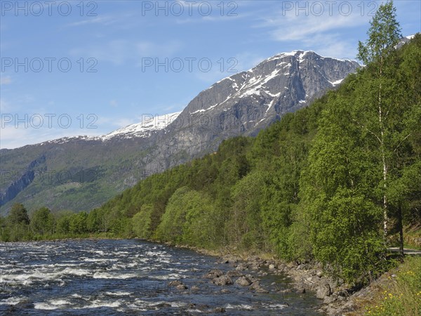 A winding river with many stones, trees on the right and a snow covered mountain in the background, wild river in a fjord with snow covered mountains and green trees, eidfjord, Norway, Europe