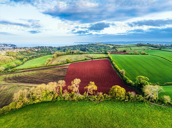 Fields and Farms over Torquay from a drone, Devon, England, United Kingdom, Europe