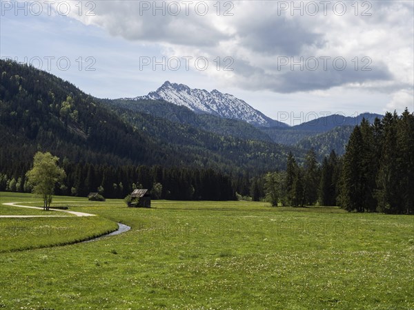 Hay barn in a green meadow, behind Kammspitze, near Bad Mitterndorf, Styria, Austria, Europe