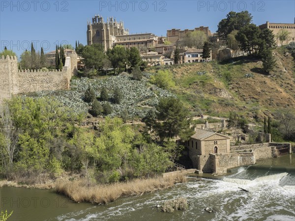 Castle and historical buildings on a hill with river and green vegetation in the foreground on a sunny day, historical stone bridge with an old tower and an old town in the background over a wild river, Toledo, Spain, Europe