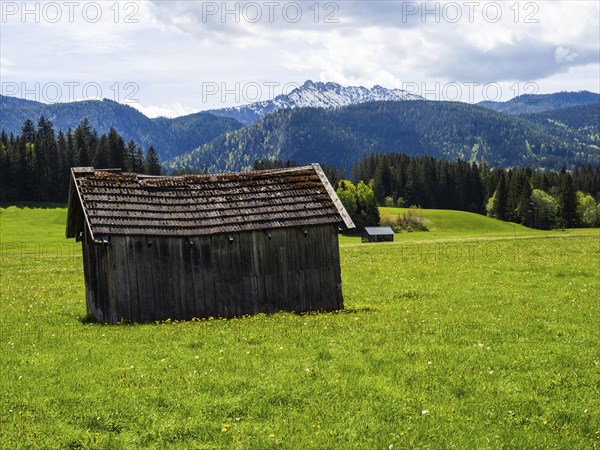Hay barn on a meadow, with the Kammspitze in the background, near Bad Mitterndorf, Styria, Austria, Europe