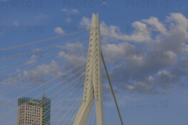 Detailed view of a bridge with blue sky and clouds, skyline of a modern city on a river with a modern bridge, Rotterdam, Netherlands