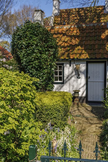 Entrance of a house surrounded by a garden with trees and hedges in spring, brick path, historic houses in a small village with small streets and trees in spring, Nes, Ameland, Netherlands