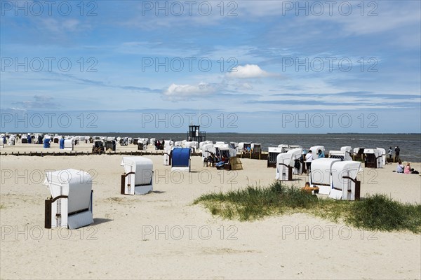 Beach chairs on the sandy beach, Harlesiel, Carolinensiel, East Frisia, Lower Saxony, Germany, Europe