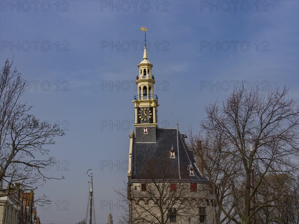 Historic clock tower with trees and blue sky in the background, tower with a golden spire and a large clock in front of a blue sky, hoorn, the netherlands