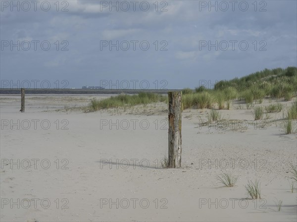 Beach with grassy dunes and old wooden posts under a cloudy sky, lonely beach with dune grass in the neighbouring dune and marker posts, clouds playing in the sky, Spiekeroog, Germany, Europe