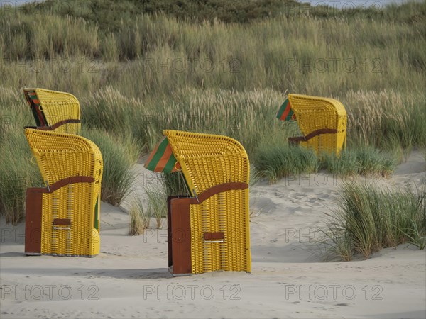 Four yellow beach chairs standing close together in the dunes, surrounded by tall grasses, colourful beach chairs on the beach and in the dunes in cloudy weather, red wooden boat and yellow beach chair, Juist, Germany, Europe