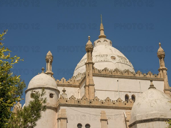 Magnificent mosque with several domes and minarets under a clear blue sky, Mosque, Dome, Tower, Tunis, Tunisia, Africa