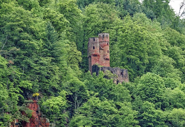 Schadeck Castle, also known as the Swallow's Nest, four-castle town of Neckarsteinach, Baden-Wuerttemberg, Germany, Europe