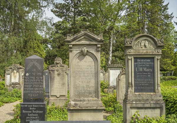 Gravestones, Jewish cemetery, Waldbachfriedhof, Offenburg, Baden-Wuerttemberg, Germany, Europe