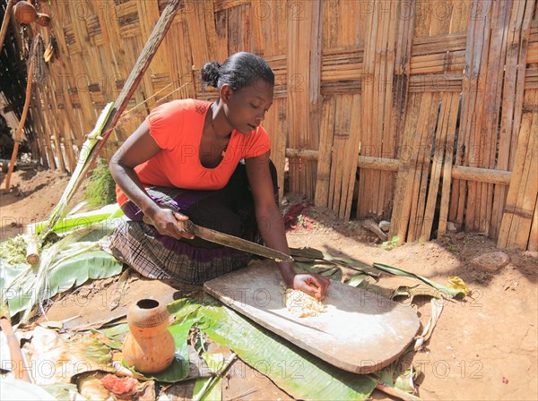 South Ethiopia, among the Dorze people, woman processes the mass of the ground false banana, which is fermented and processed into flatbread, Ethiopia, Africa
